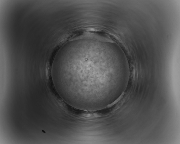 X0000090430712200707131201
