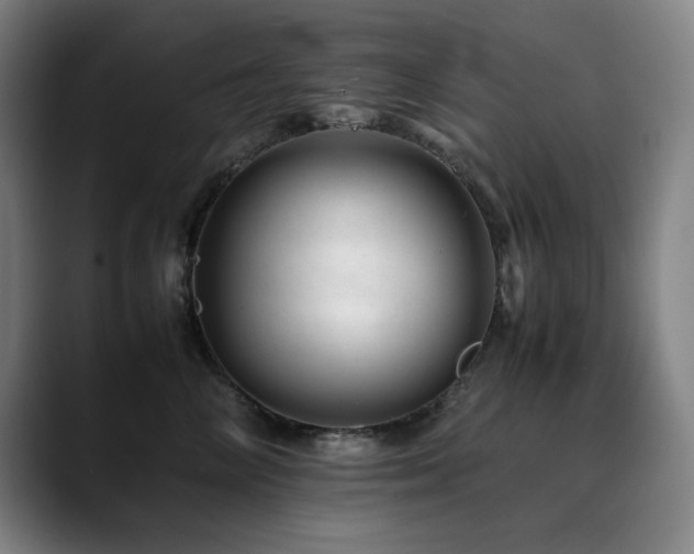 X0000090430714200707131201
