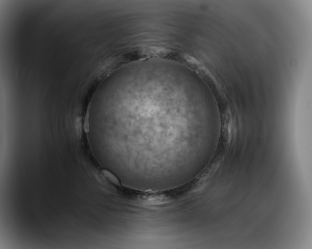 X0000090430716200707131201