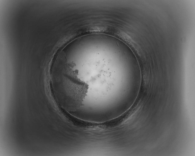 X0000090430721200707131200