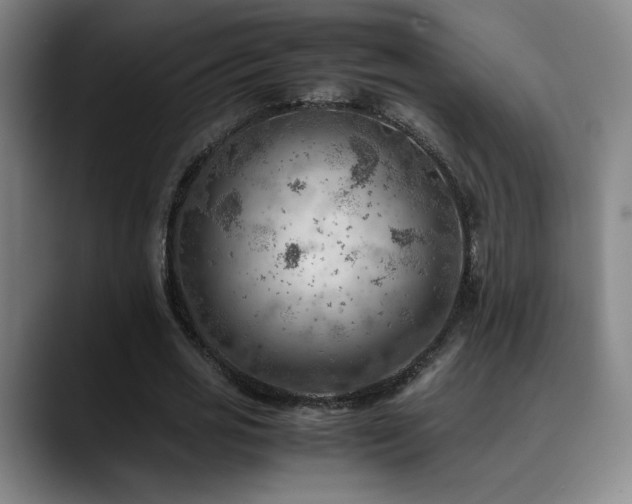 X0000090430725200707131201