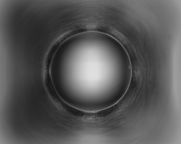 X0000090430728200707131201