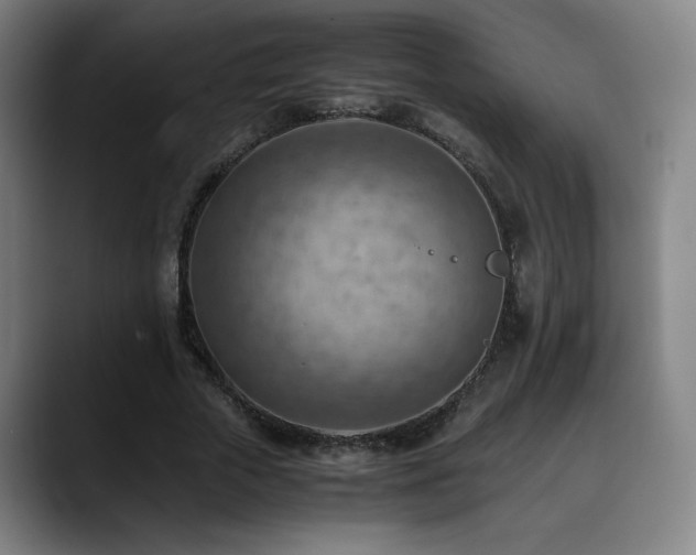 X0000090430729200707131201