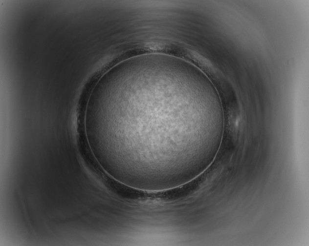 X0000090430730200707131201