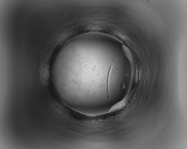 X0000090430731200707131201