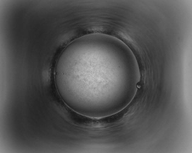 X0000090430735200707131201