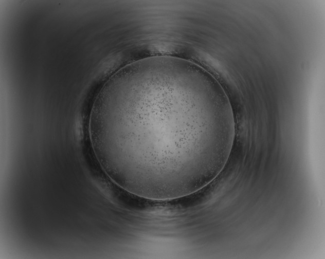 X0000090430738200707131201