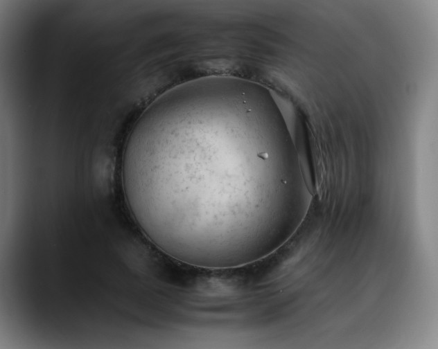 X0000090430739200707131201