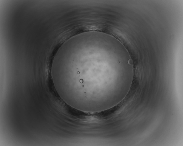 X0000090430741200707131201