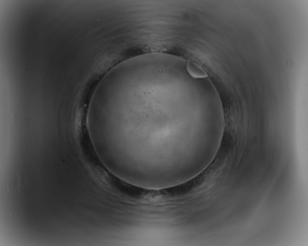 X0000090430742200707131201