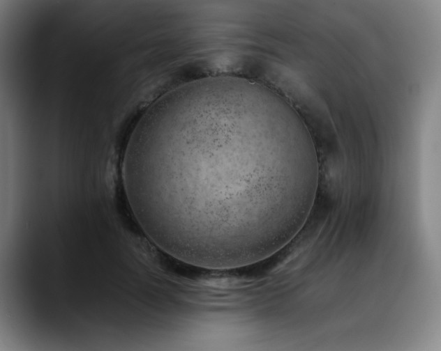 X0000090430746200707131201