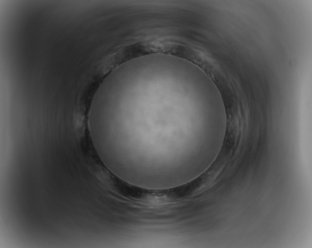 X0000090430749200707131201