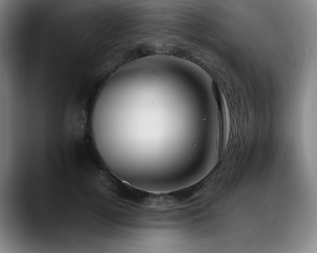 X0000090430752200707131201