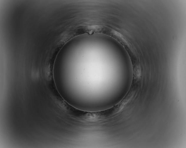 X0000090430764200707131201