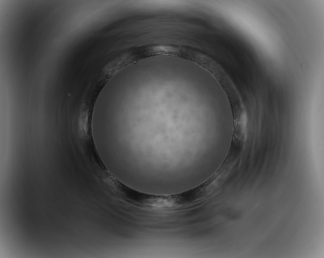 X0000090430765200707131201