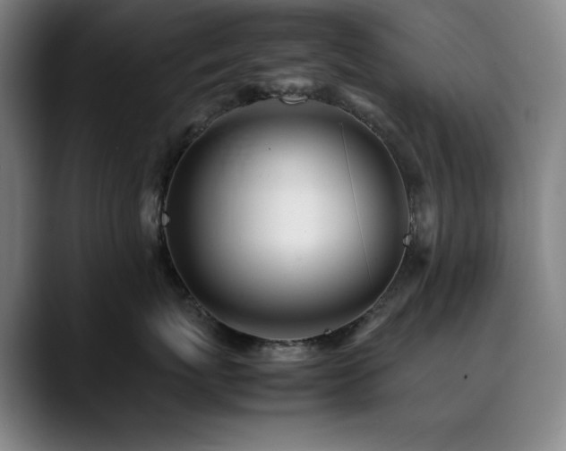X0000090430767200707131201