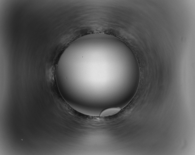 X0000090430768200707131201