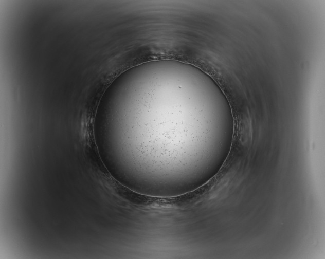 X0000090430770200707131200