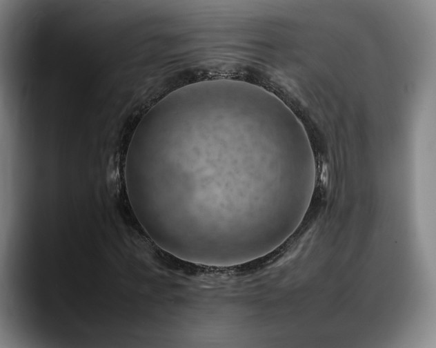 X0000090430771200707131200