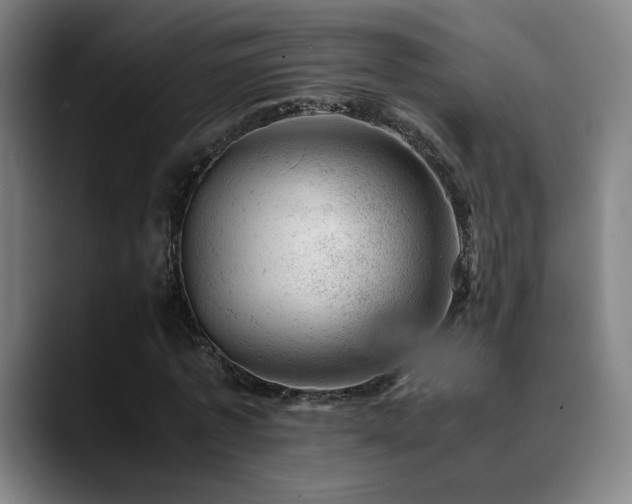 X0000090430773200707131200