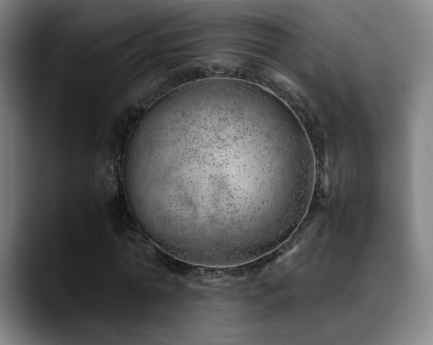 X0000090430774200707131200