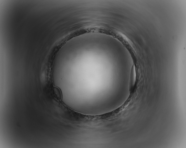 X0000090430775200707131200
