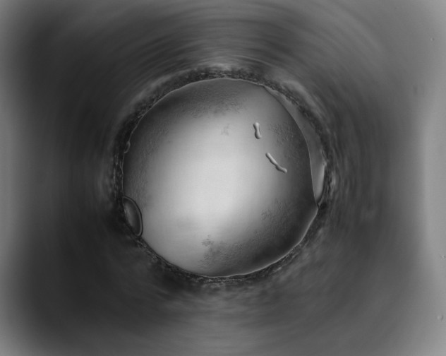 X0000090430776200707131200