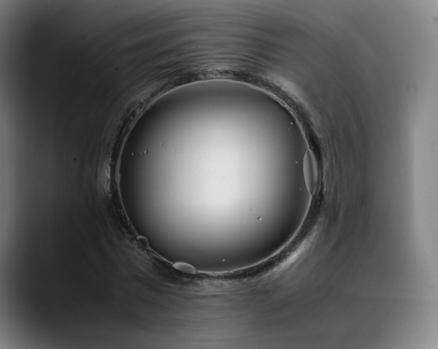 X0000090430777200707131200