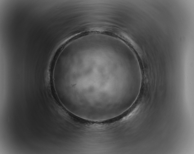 X0000090430779200707131200