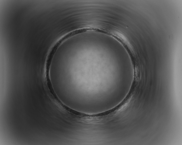 X0000090430780200707131200