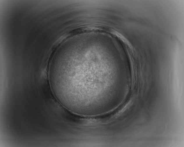 X0000090430785200707131200