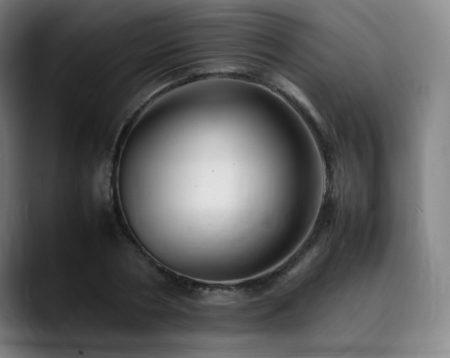 X0000090430786200707131200