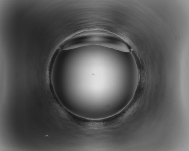 X0000090430789200707131200