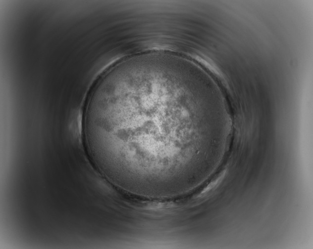X0000090430790200707131200
