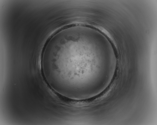 X0000090430791200707131200