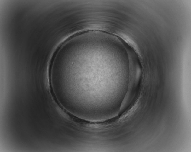 X0000090430792200707131200