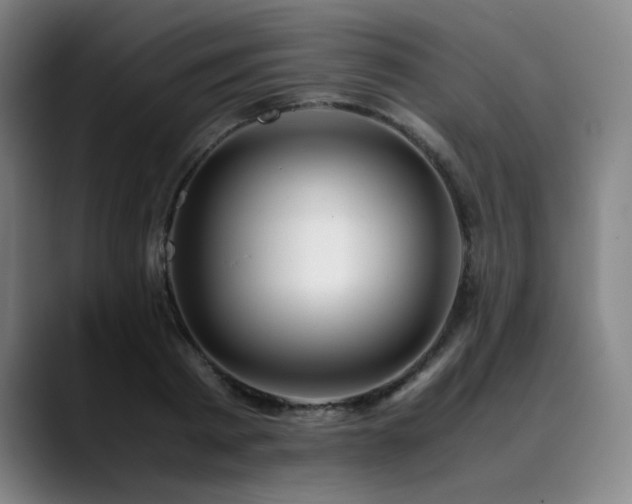 X0000090430793200707131200