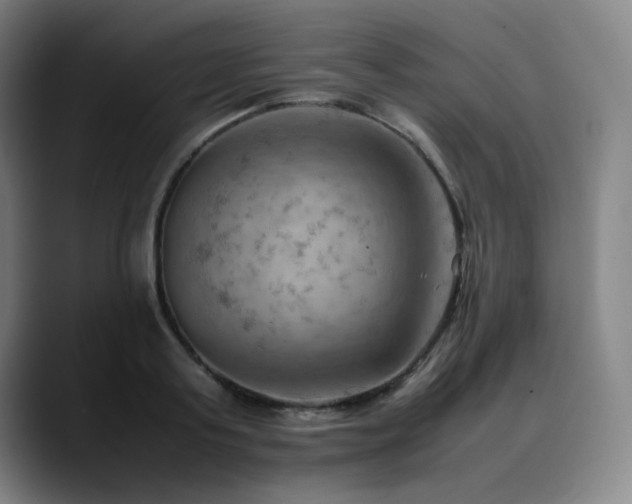 X0000090430795200707131200