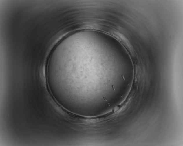 X0000090430796200707131200