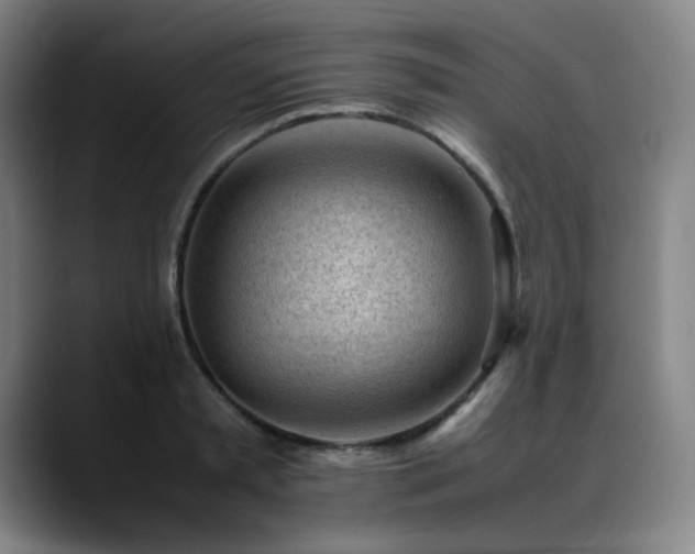 X0000090430797200707131200