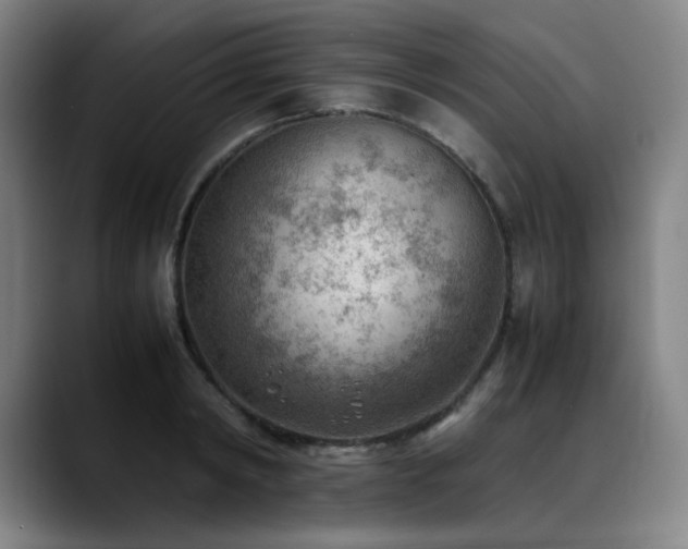X0000090430798200707131200