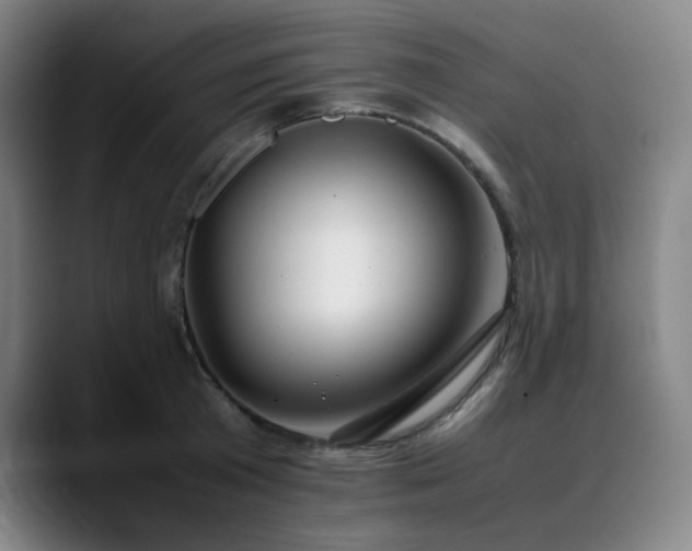X0000090430801200707131200