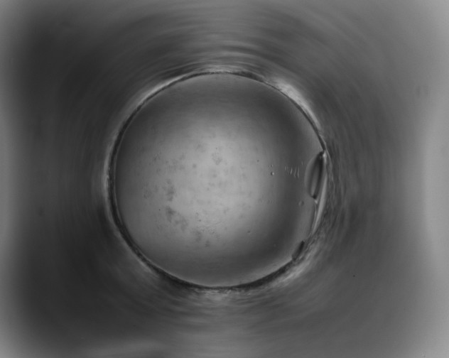 X0000090430803200707131200