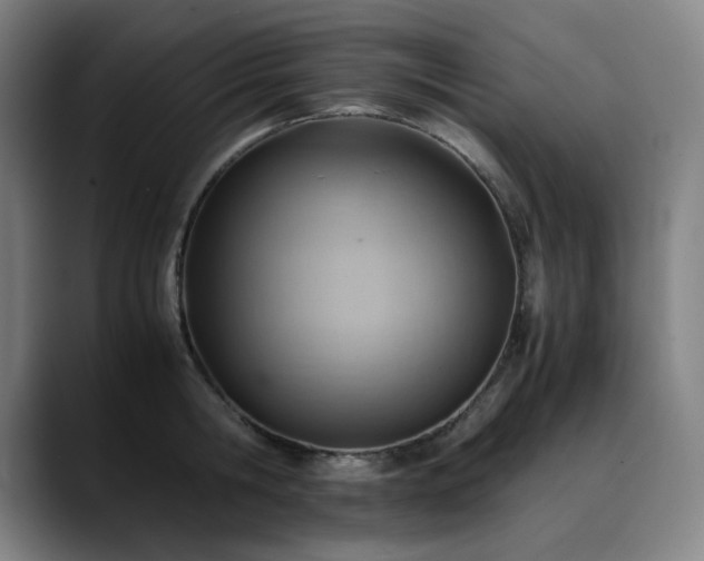 X0000090430806200707131200
