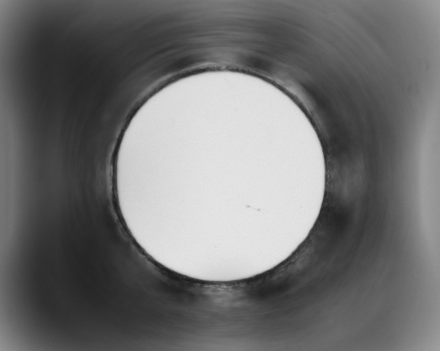 X0000090430807200707131200