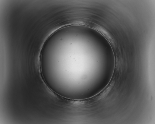 X0000090430808200707131200
