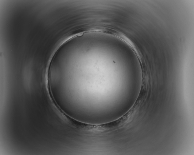 X0000090430811200707131200