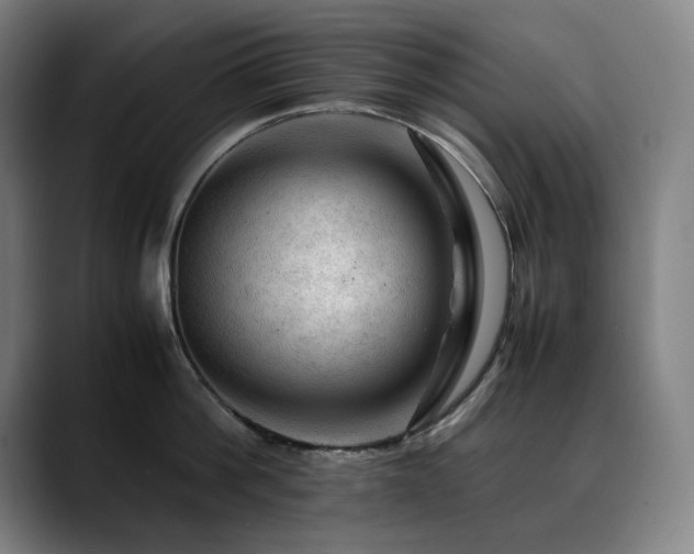 X0000090430812200707131200