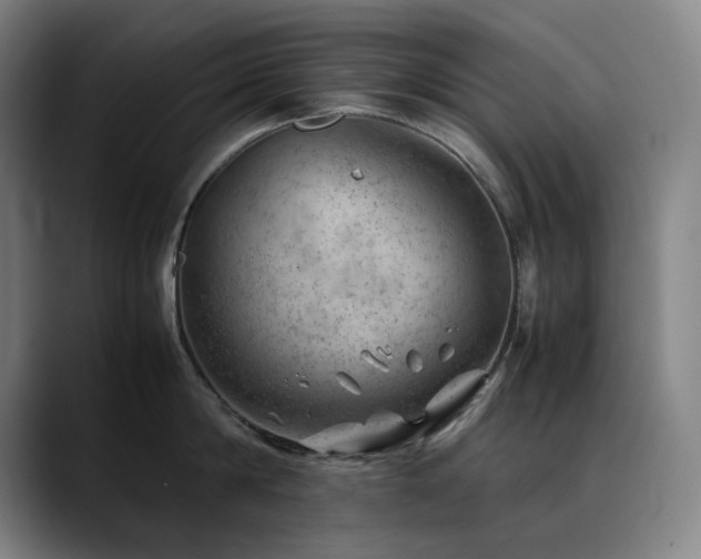 X0000090430814200707131200