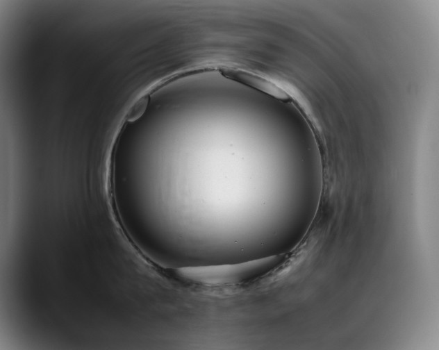 X0000090430815200707131200